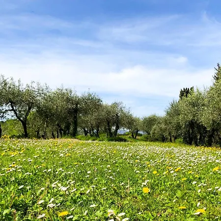 La Tonnaia