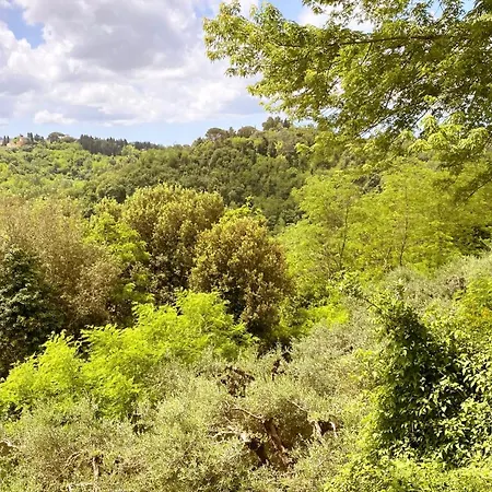 Apartmán La Tonnaia