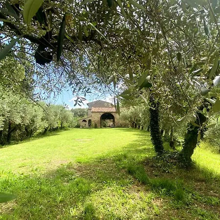 La Tonnaia